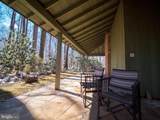 4313 Woodlark Drive - Photo 51