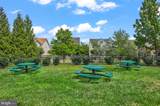 43245 Barnstead Drive - Photo 47
