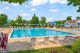 43245 Barnstead Drive - Photo 54