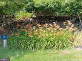 80 Condor Lane - Photo 33