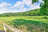 33 Blue Mountain Road - Photo 34