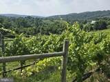  Red Barn Lane - Photo 13