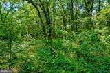 35 Boggy Creek - Photo 9