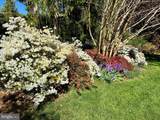 200 Prospect Street - Photo 48