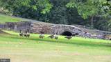 475 Cocalico Road - Photo 34