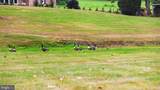 475 Cocalico Road - Photo 35