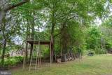 12006 Lusbys Lane - Photo 47