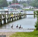 146 Holly Circle - Photo 48
