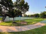 10245 Calypso Drive - Photo 36