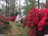 30331 Mallard Drive - Photo 36