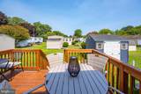 33392 Buttercup Street - Photo 38