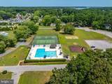 33392 Buttercup Street - Photo 46