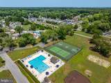 33392 Buttercup Street - Photo 49