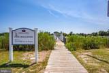 33392 Buttercup Street - Photo 61