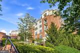 300 Elm Street - Photo 9