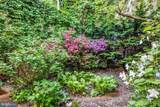 2426 I Street - Photo 33