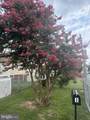 1 Goeller Avenue - Photo 36