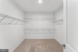 6611 Shelton Lane - Photo 43