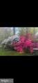 2213 Apple Tree Lane - Photo 35