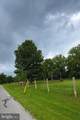3740 Beagle Road - Photo 83