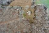 7389 Leeds Manor Rd - Photo 15