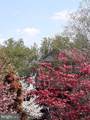 11707 Tumbrel Court - Photo 40