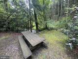 1006 Bear Meadows Road - Photo 21