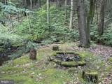 1006 Bear Meadows Road - Photo 23