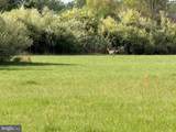 10068 Harry Byrd Highway - Photo 43