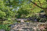 545 Strickler's School Road - Photo 82