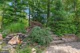 10618 Shadow Lane - Photo 53