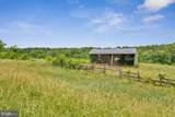 26220 Mullinix Mill Road - Photo 10