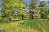 26220 Mullinix Mill Road - Photo 21