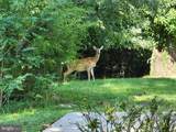 425 Rosier Road - Photo 49