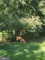 425 Rosier Road - Photo 50