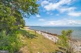 48274 Choptank - Photo 41