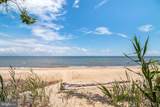 48274 Choptank - Photo 42