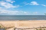 48274 Choptank - Photo 43