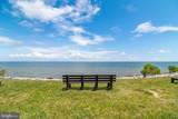 48274 Choptank - Photo 45