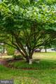 9945 Sharptown Road - Photo 55