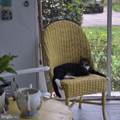 489 Fairport Road - Photo 6