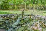 12510 Basswood Drive - Photo 5