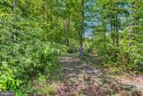 8427 Tall Oak Drive - Photo 47