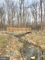 8807 Aunt Lilly Lane - Photo 46