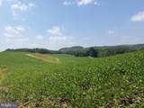 131.5+/- ACRES AT 361 CANEY VALLEY RD - Photo 45