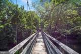 185 Buck Run Lane - Photo 45
