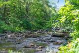 185 Buck Run Lane - Photo 51