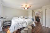 4803 Apple Tree Drive - Photo 32