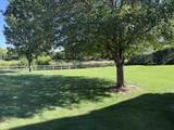 29803 Standish Street - Photo 4
