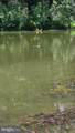 11601 Van Brady Rd - Photo 13